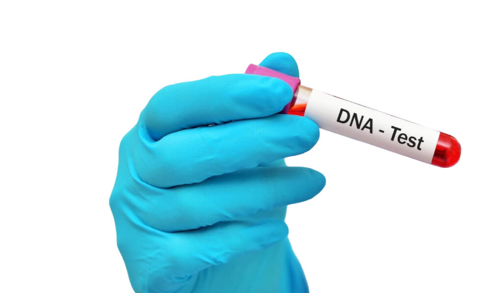 Namibian Police need N$30m to clear DNA backlog