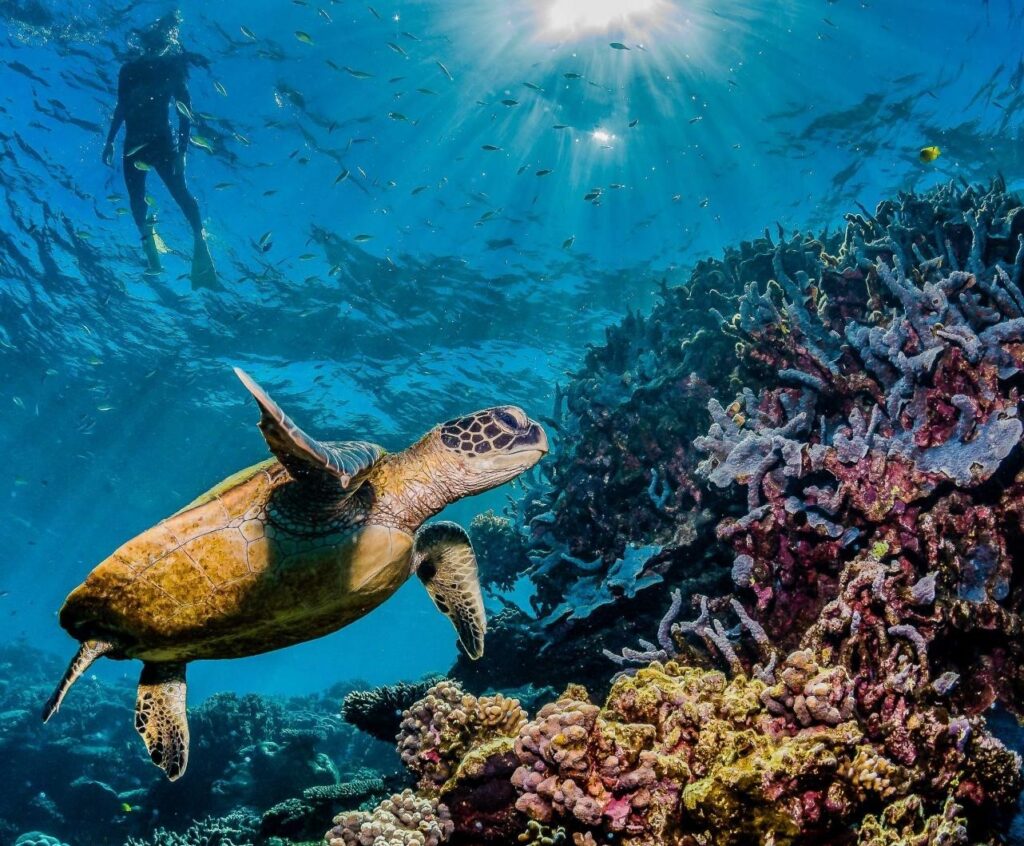 Namibia holds back on High Seas Treaty