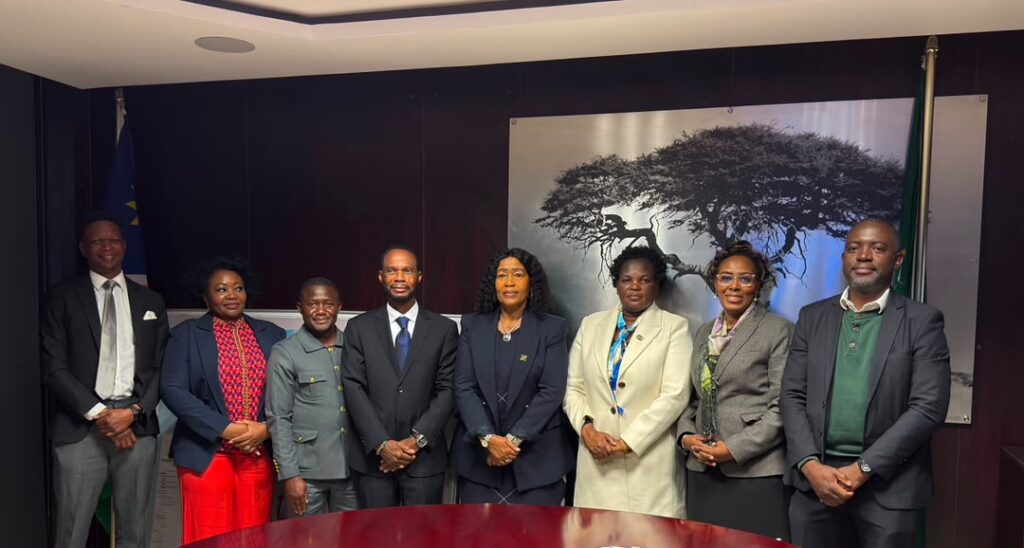 Namibia: New NamWater board appointed – News