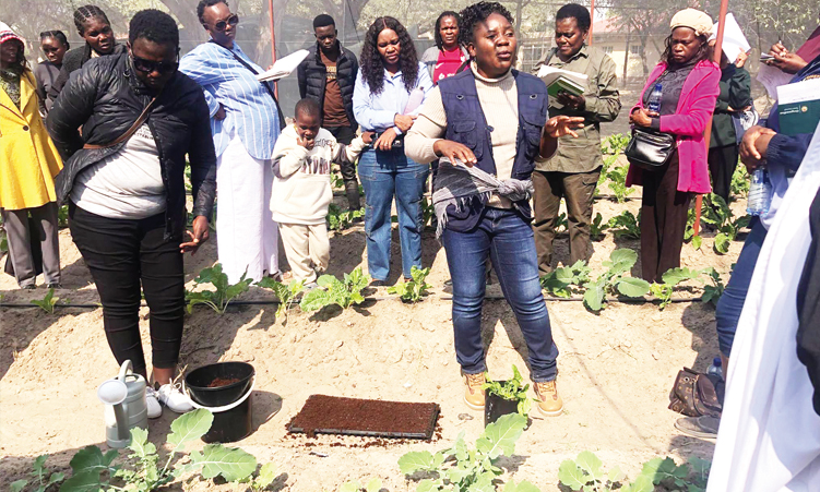 Backyard garden trainees complete programme