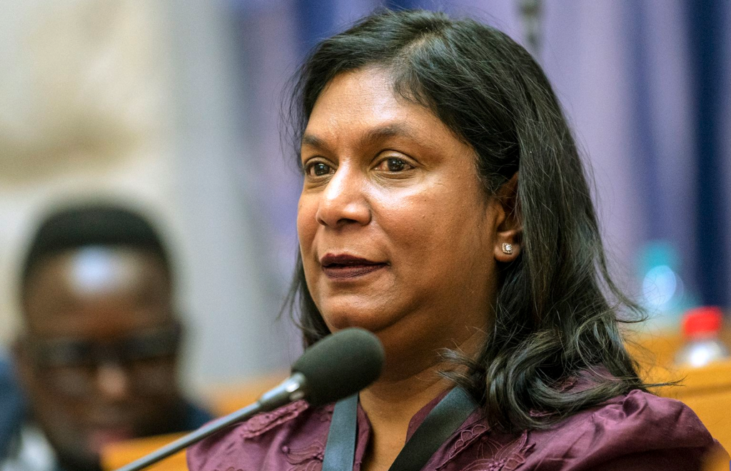 Investigating Directorate Against Corruption head Andrea Johnson testifies at Parliament’s ad hoc committee, tasked with investigating accusations of drug cartel infiltration of the criminal justice system, politics and private security. (Photo: Gallo Images / Brenton Geach)