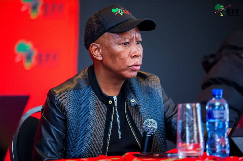 Malema denies role in plot to oust former intelligence inspector-general 