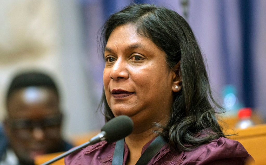 Idac head Andrea Johnson testifies in November 2025 at the parliamentary ad hoc committee inquiry into alleged corruption and political interference in the criminal justice system. (Photo: Brenton Geach / Gallo Images)