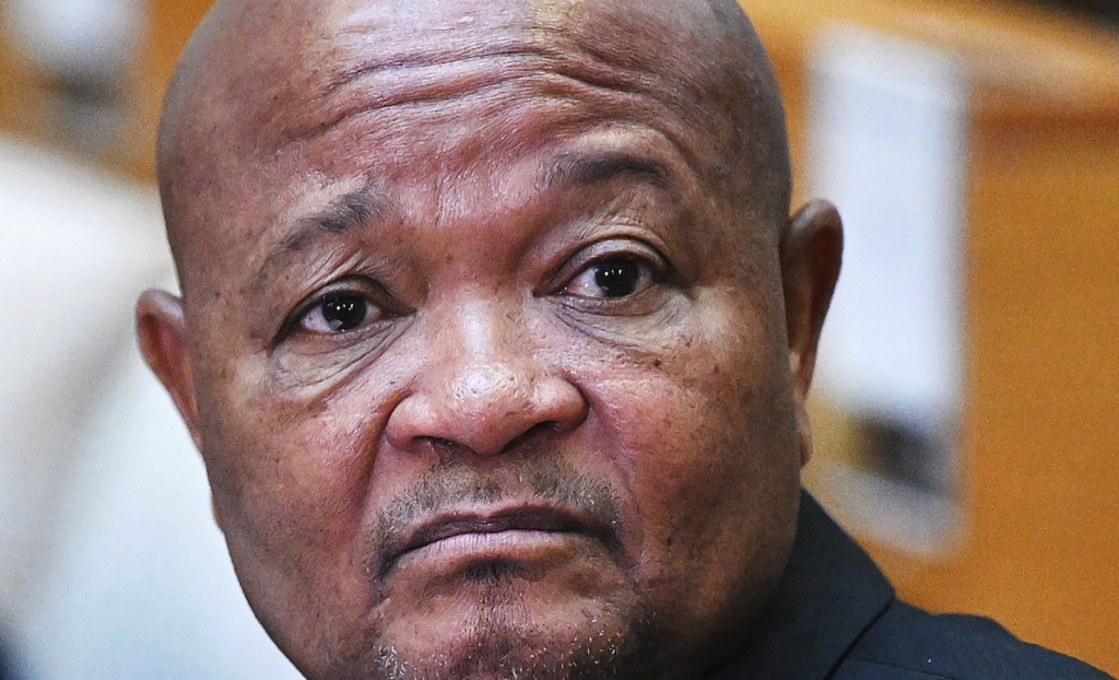 Senzo Mchunu. (Photo: Phando Jikelo / RSA Parliament)