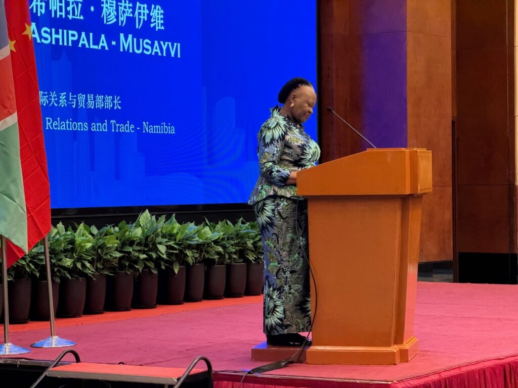 Namibia a gateway to southern Africa for Chinese investment – minister