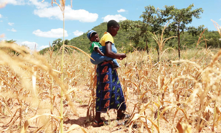 El Niño could push 50m people into acute hunger before end of 2027