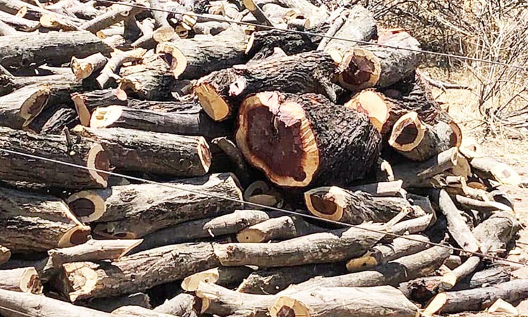 Oikuni otai teyaulifa po omiti moitopolwa imwe konooli yoshilongo