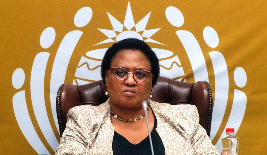 Speaker Thoko Didiza at the National Assembly (NA) in Cape Town. (Photo: Gallo Images / Brenton Geach)
<br>