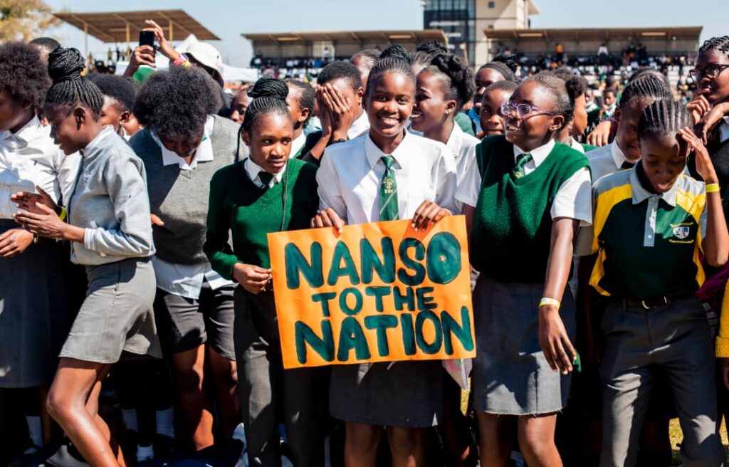 Nanso seeks funding ahead of congress