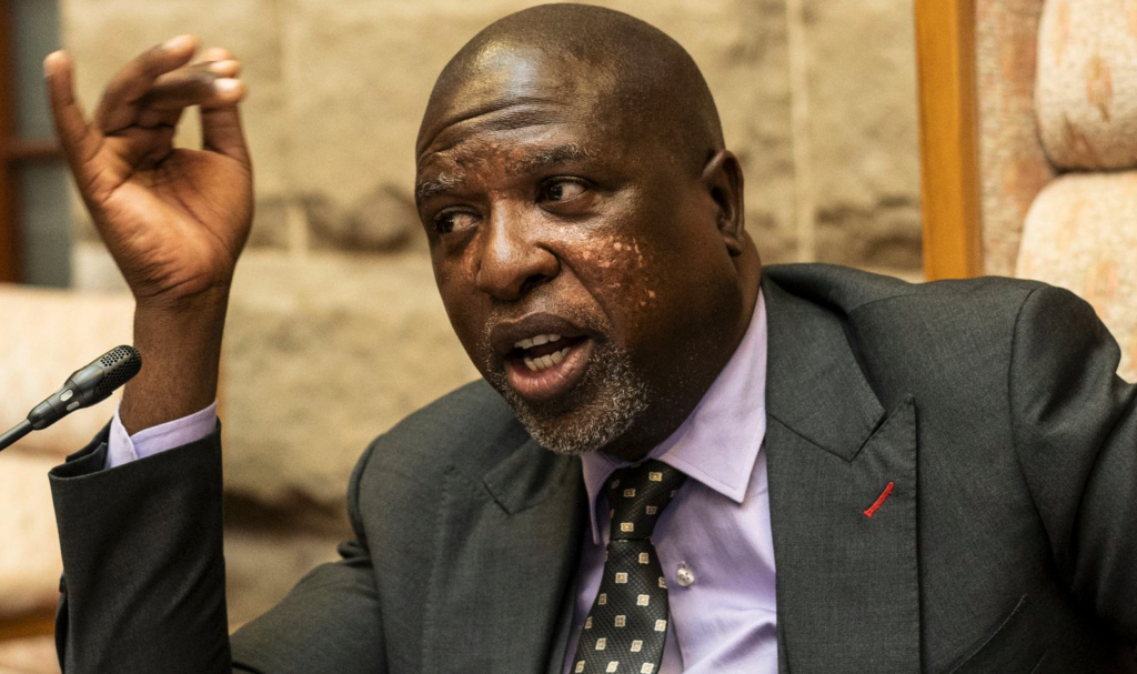 Soviet Lekganyane, chairperson of Parliament’s ad hoc committee inquiry into alleged corruption and political interference in the criminal justice system. (Photo: Gallo Images / Brenton Geach)