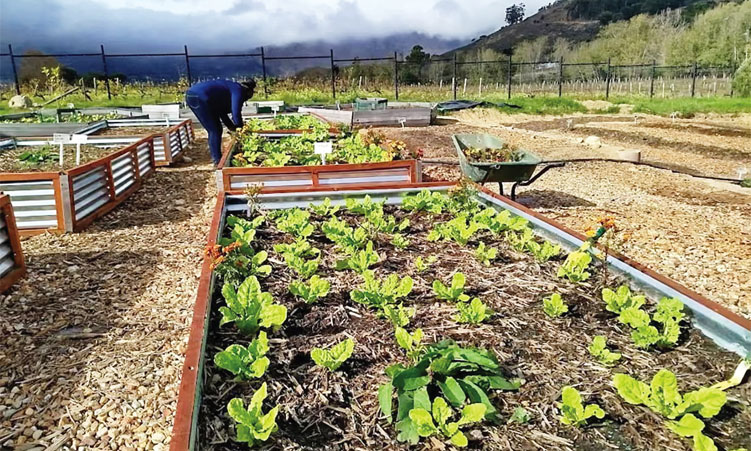 How a South African town cleaned up its polluted river using stones, wood and sand