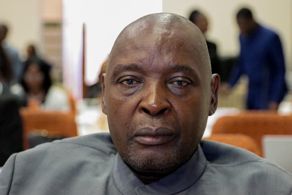 RedForce defamation case against Sankwasa postponed