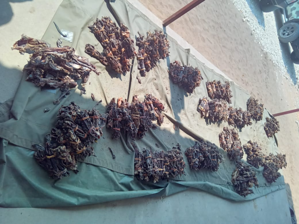 Man arrested for possession of game meat at Rundu