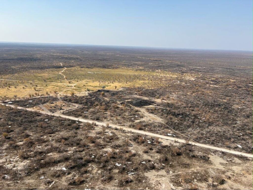 Wildfire scorches over 2 000 square kilometres of Etosha