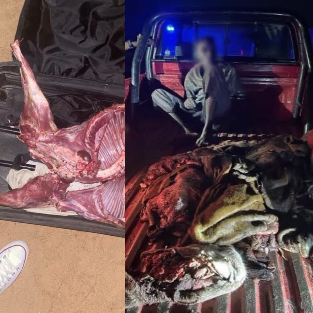 Namibian Police Arrest Suspects in Cattle Theft Case