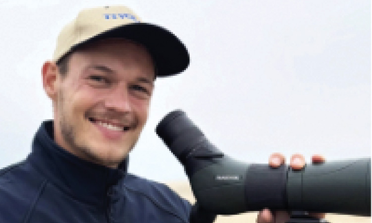Research Paves Way For Turtle Protection Plan