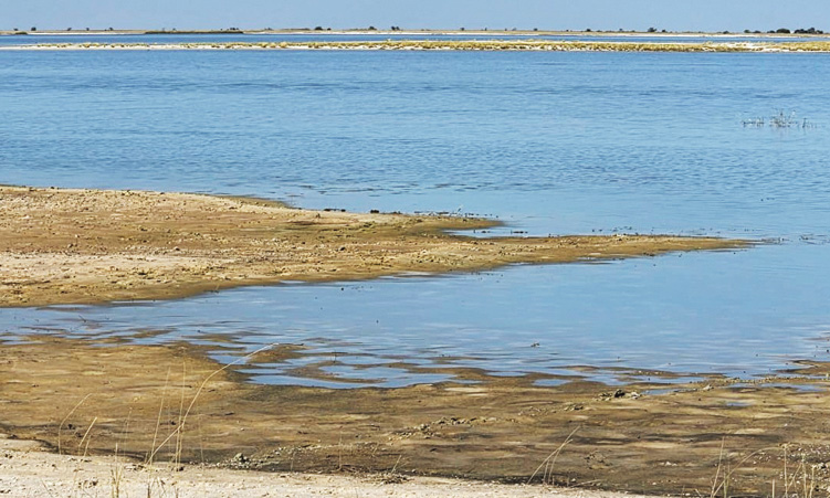 Lake Oponona still source of hope for people, livestock