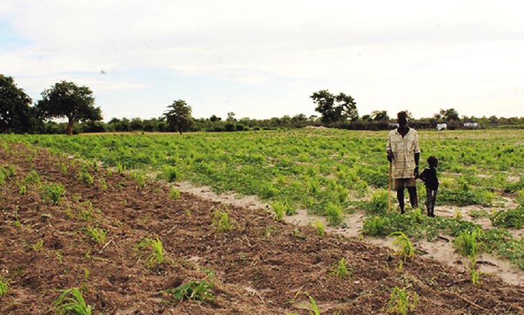 Govt misses land resettlement target