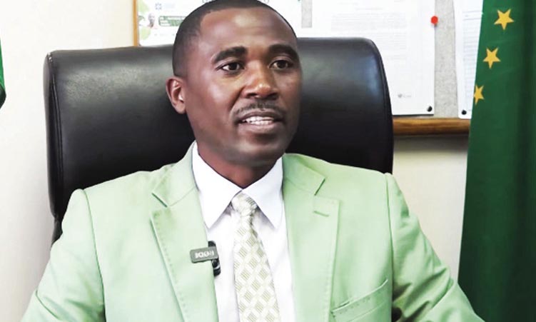 Ministry weighs private theatres to cut backlog