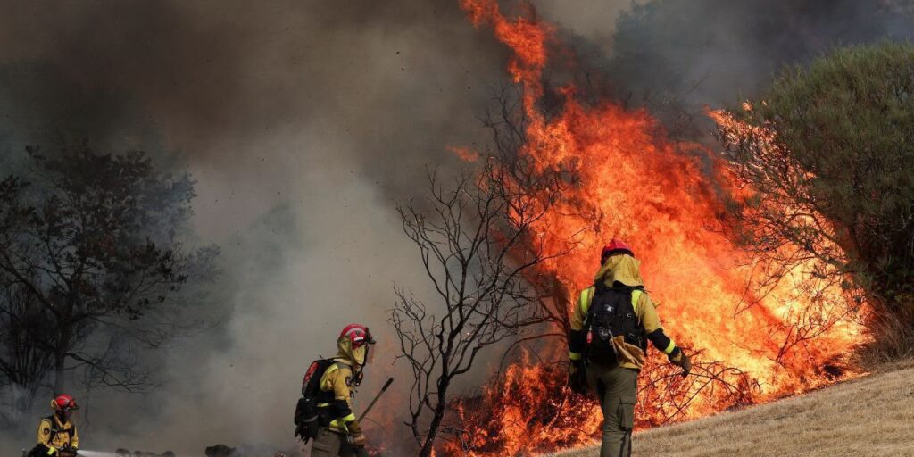 Ngurare urges environment ministry to strengthen wildfire response